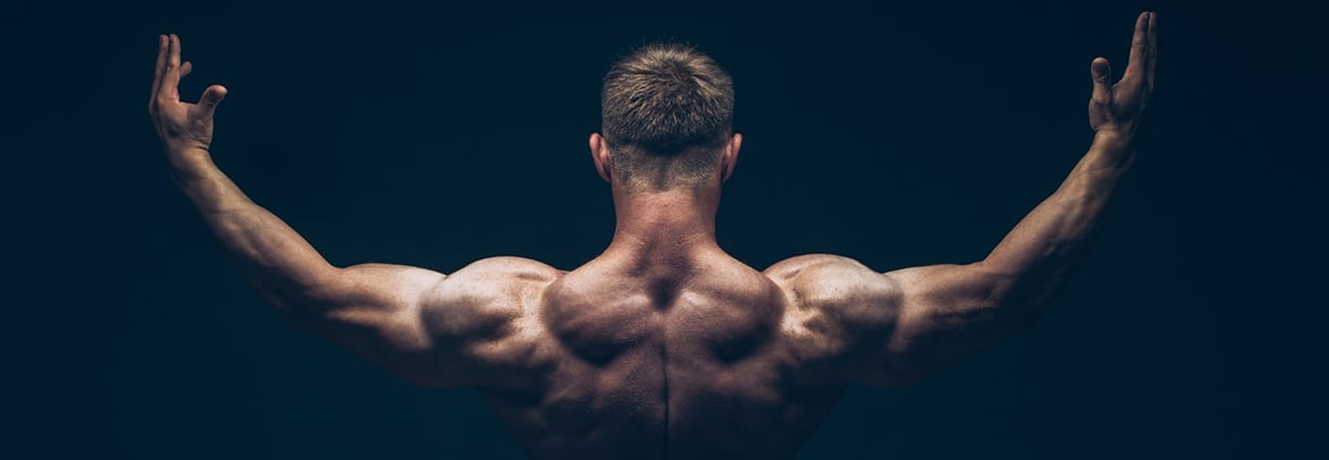 BioEnergetic – bioenergetic science