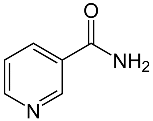 Ray Peat on Vitamin B3 - Niacinamide