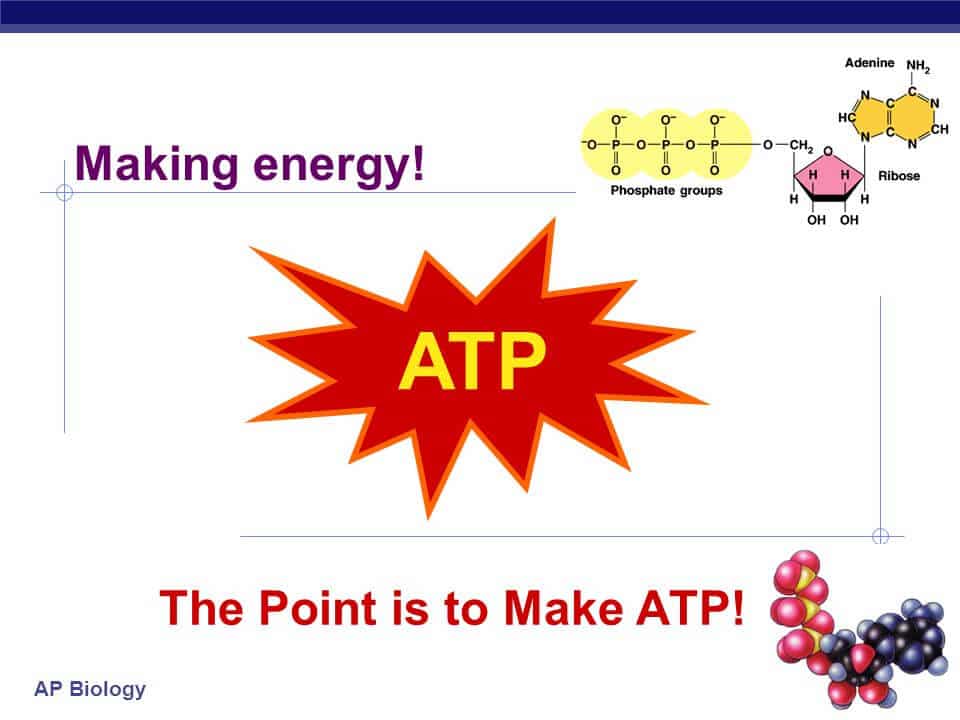 Red Light Therapy and ATP