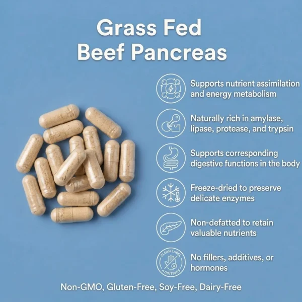 Grass fed and finished new zealand beef pancreas