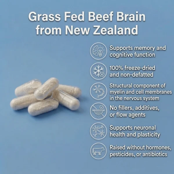 Grass fed beef brain capsules benefits