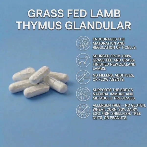 Thymus lamb capsules benefits
